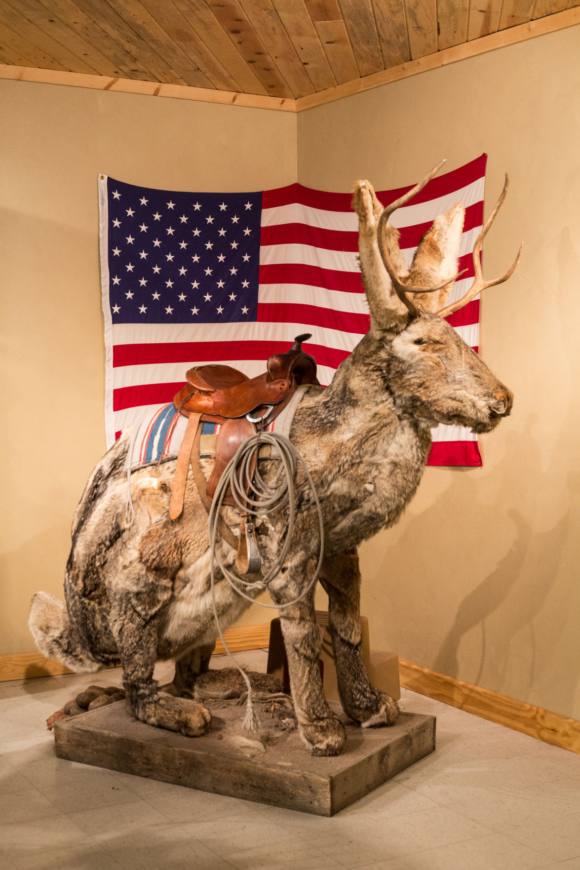 Someone has asked you if jackalopes are real (and you said yes)